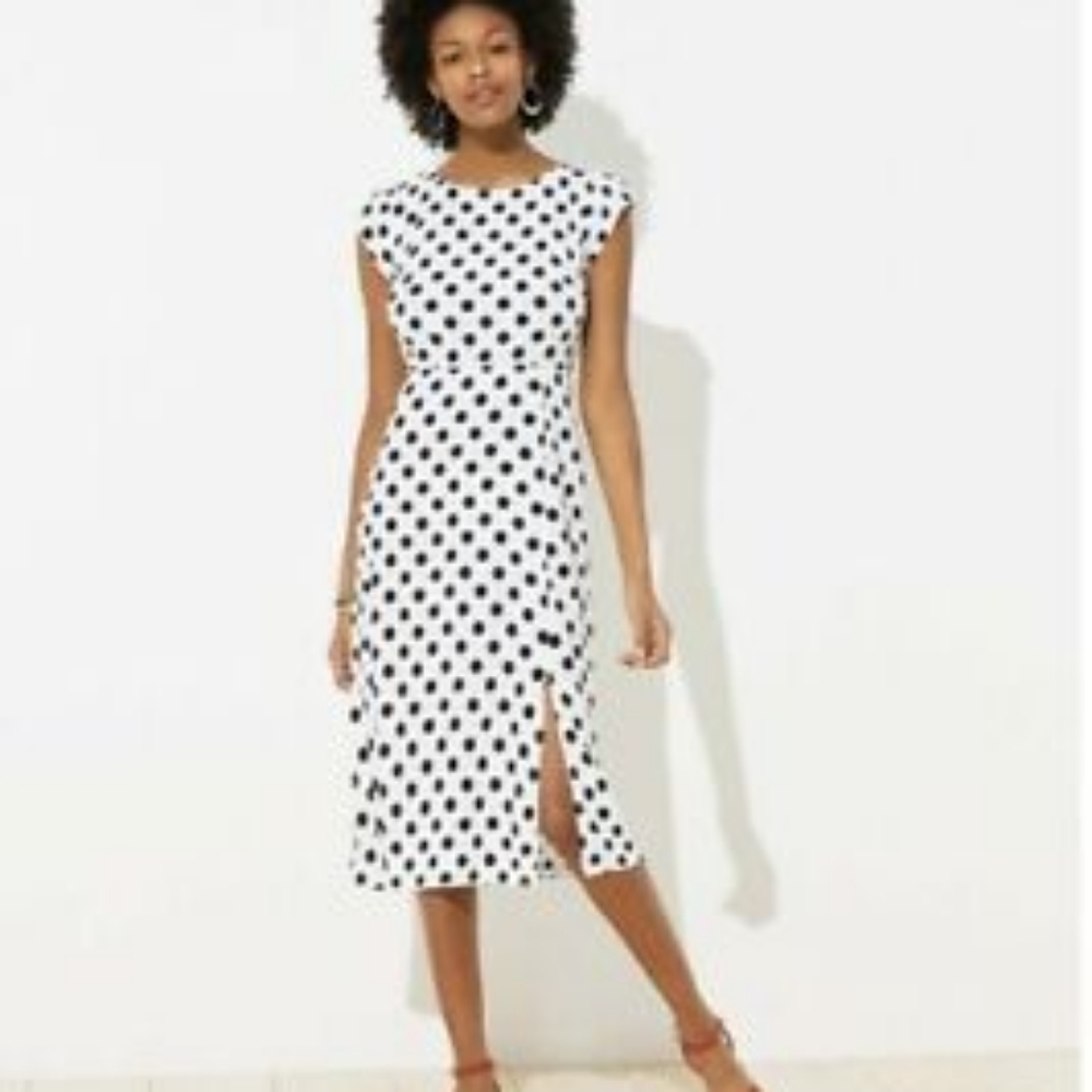 NWT Loft Polka Dot Dress. Size 8